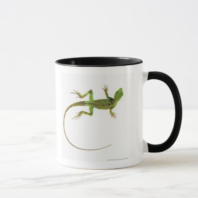 Taza Un lagarto en la tierra blanca pura (Derecha)