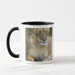 Taza Un león sentado en la hierba alta de los Maasai