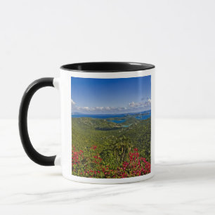 Taza Un paisaje de Cruse Bay, St. John Islas Vírgenes d