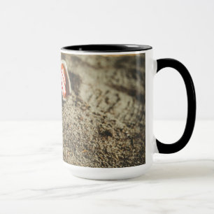 Taza Un par de gafas de sol de moda en la playa