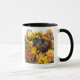 Taza Un perrito de Yorkie-Poo en una cesta de