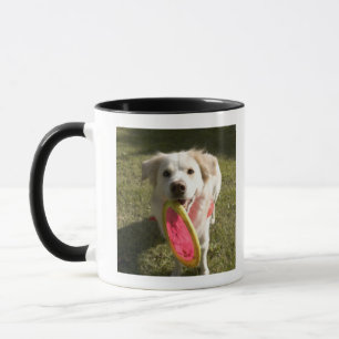 Taza Un perro con un disco volador