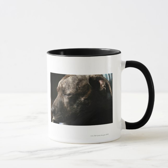 Taza Un perro del pitbull el dormir (Derecha)