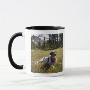 Taza Un perro descansa después de caminar al parque de