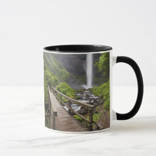 Taza Un puente durante el río Columbia y las caídas d