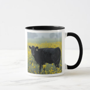 Taza Un ternero entre los girasoles de Nebraska