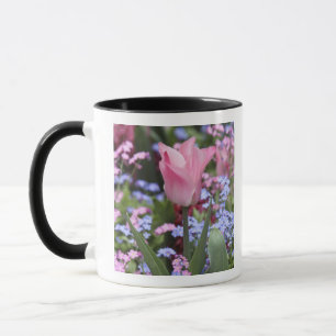 Taza Un tulipán en los jardines de Luxemburgo, París, F