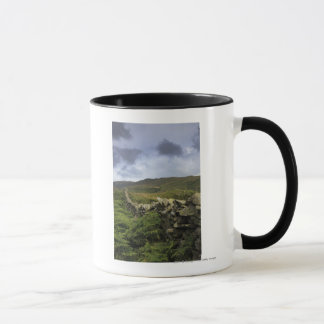 Taza Una cerca de piedra a través de campos
