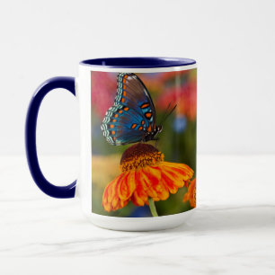 Taza Una cola de golondrina de especias, Papilio troilu