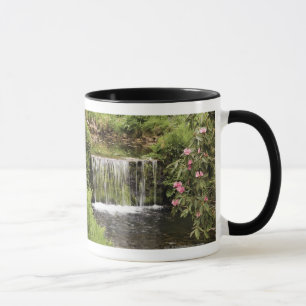Taza Una corriente y una cascada en el parque nacional