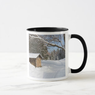 Taza Una escena nevada en el pequeño estanque de Lyford
