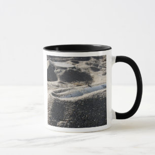 Taza Una exhibición estática de una cáscara de la