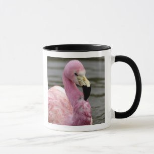 Taza Una foto cautiva de un flamenco andino
