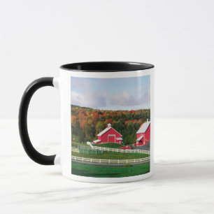 Taza Una granja en Vermont cerca de Peacham. LIBERADO