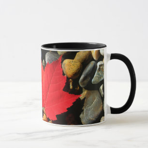 Taza Una hoja de arce sobre un fondo de roca