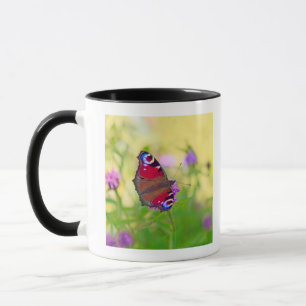 Taza Una mariposa de pavo real brillantemente coloreada