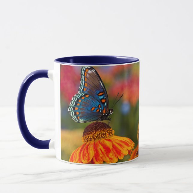 Taza Una Papilio troilus, Papilio troilus (Izquierda)