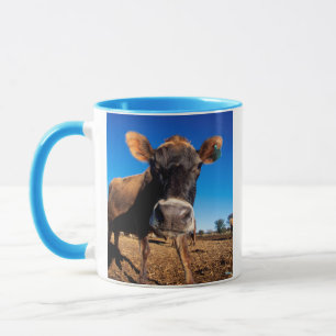 Taza Una vaca de Jersey siendo inquisitiva