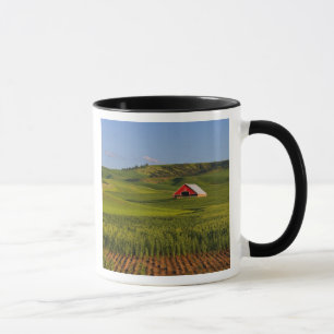 Taza Una vista panorámica de un granero en Moscú Idaho.