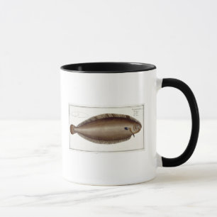 Taza Única (Solea Solaea) placa XLV de Dover de