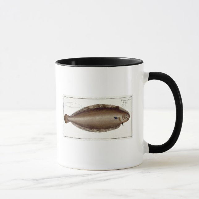 Taza Única (Solea Solaea) placa XLV de Dover de (Derecha)