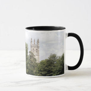 Taza Universidad de Oxford