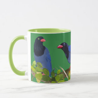 Taza Urraca azul de Taiwan