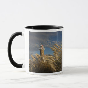 Taza Uruguay, Departamento de Montevideo, Montevideo. 2