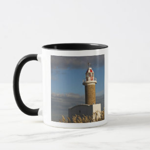 Taza Uruguay, Departamento de Montevideo, Montevideo. 3