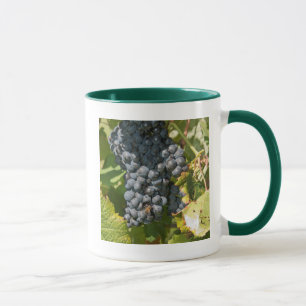 Taza Uruguay, Montevideo, Área Colon. Bodegas