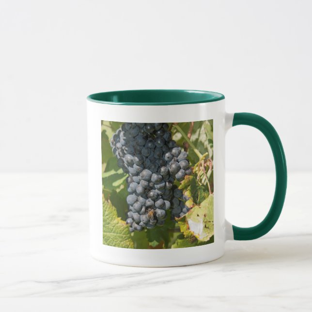 Taza Uruguay, Montevideo, Área Colon. Bodegas (Derecha)