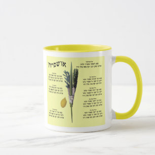 Taza Ushpizin y Arba Minim (4 especies)