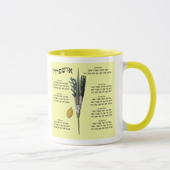 Taza Ushpizin y Arba Minim (4 especies) (Derecha)