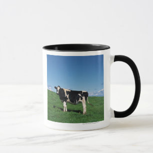 Taza Vaca de Holstein que se coloca en el campo,