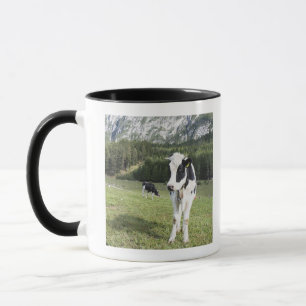 Taza Vaca en un prado, Fie Sciliar Allo, alto el