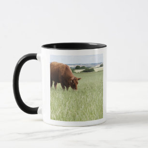 Taza Vaca que pasta en prado