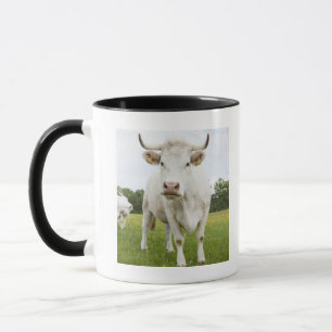 Taza Vaca que se coloca en campo herboso