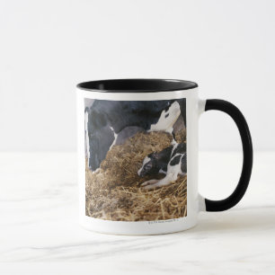 Taza Vaca y becerro en heno
