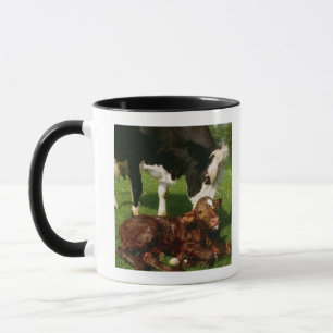 Taza Vaca y becerro recién nacido