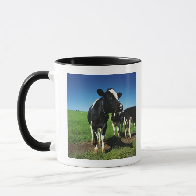 Taza Vacas de Holstein en un campo (Izquierda)