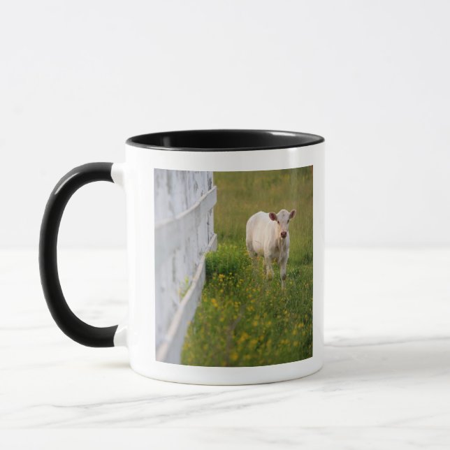 Taza Vacas en el campo (Izquierda)