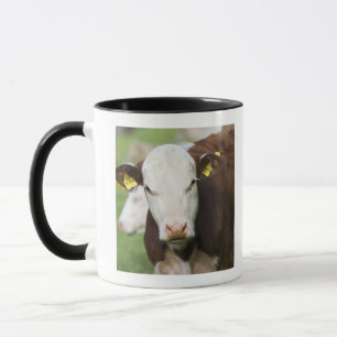 Taza Vacas en el pasto, primer