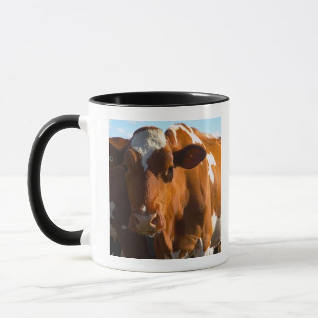 Taza Vacas en granja (Izquierda)