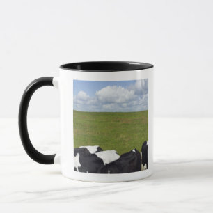 Taza Vacas en un pasto