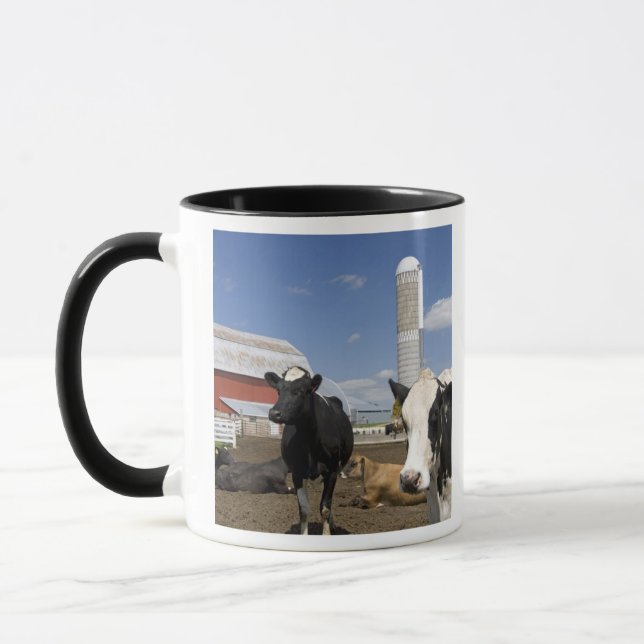 Taza Vacas frente a un granero rojo y silo en una granj (Izquierda)