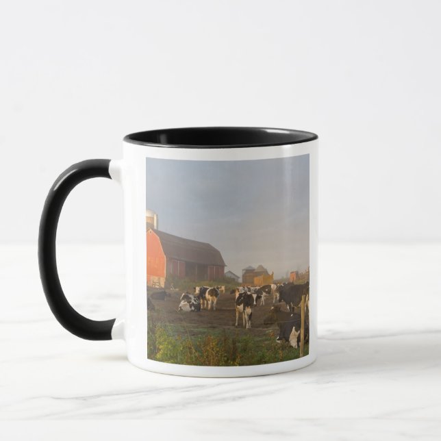 Taza Vacas lecheras Holstein afuera del granero al aman (Izquierda)