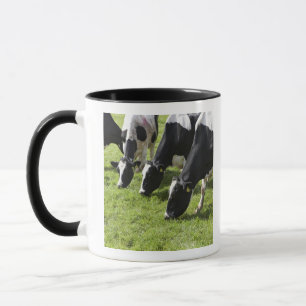 Taza Vacas lecheras que pastan en pasto
