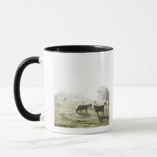 Taza Vacas que pastan en campo en luz de la mañana