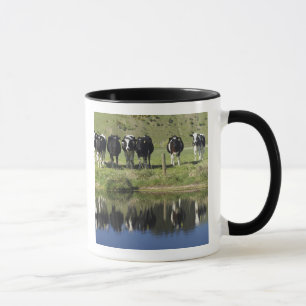 Taza Vacas reflejadas en el canal, Henley, llanura de T