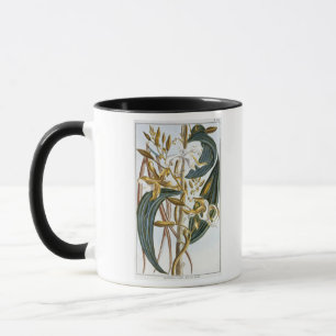 Taza Vainas de la vainilla, placa 65, de la 'colección